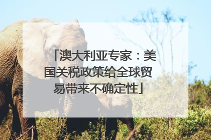 澳大利亚专家：美国关税政策给全球贸易带来不确定性