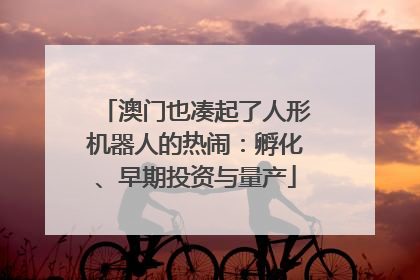 澳门也凑起了人形机器人的热闹：孵化、早期投资与量产