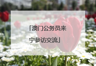 澳门公务员来宁参访交流