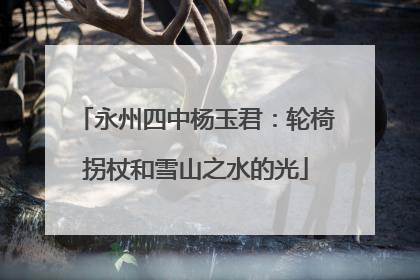 永州四中杨玉君：轮椅拐杖和雪山之水的光