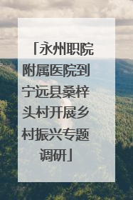 永州职院附属医院到宁远县桑梓头村开展乡村振兴专题调研