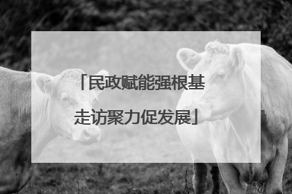 民政赋能强根基 走访聚力促发展