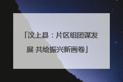 汶上县：片区组团谋发展 共绘振兴新画卷