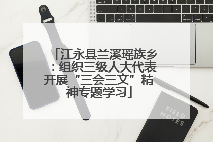 江永县兰溪瑶族乡：组织三级人大代表开展“三会三文”精神专题学习