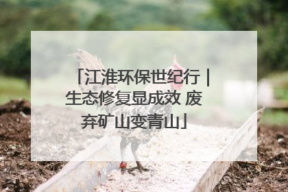 江淮环保世纪行｜生态修复显成效 废弃矿山变青山