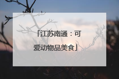 江苏南通：可爱动物品美食