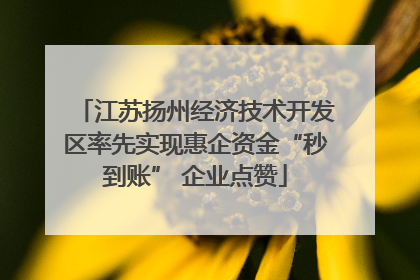 江苏扬州经济技术开发区率先实现惠企资金“秒到账” 企业点赞