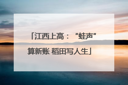 江西上高：“蛙声”算新账 稻田写人生
