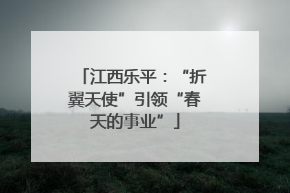 江西乐平：“折翼天使”引领“春天的事业”