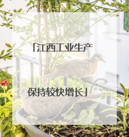 江西工业生产保持较快增长
