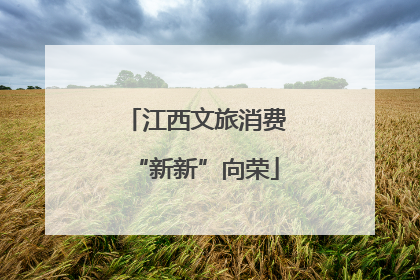 江西文旅消费“新新”向荣