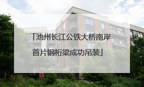 池州长江公铁大桥南岸首片钢桁梁成功吊装