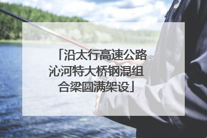 沿太行高速公路沁河特大桥钢混组合梁圆满架设
