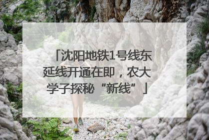 沈阳地铁1号线东延线开通在即，农大学子探秘“新线”