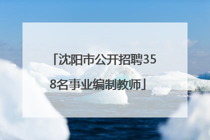 沈阳市公开招聘358名事业编制教师