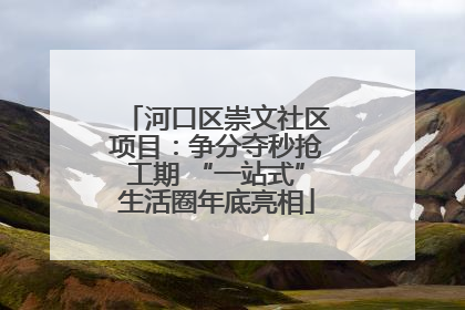 河口区崇文社区项目：争分夺秒抢工期 “一站式”生活圈年底亮相