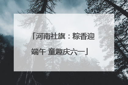 河南社旗：粽香迎端午 童趣庆六一