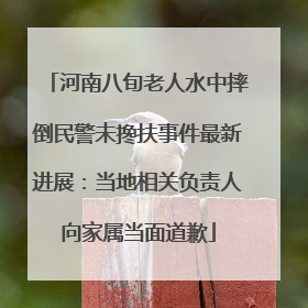 河南八旬老人水中摔倒民警未搀扶事件最新进展：当地相关负责人向家属当面道歉