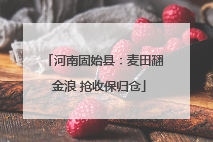 河南固始县：麦田翻金浪 抢收保归仓