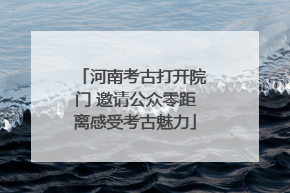 河南考古打开院门 邀请公众零距离感受考古魅力