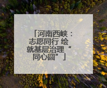 河南西峡：志愿同行 绘就基层治理“同心圆”