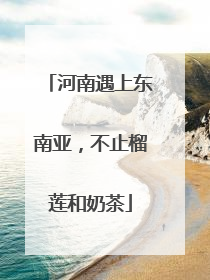 河南遇上东南亚，不止榴莲和奶茶
