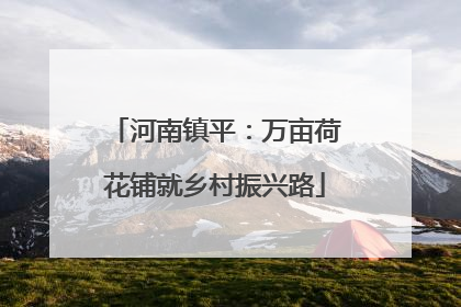 河南镇平：万亩荷花铺就乡村振兴路