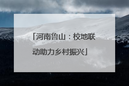 河南鲁山：校地联动助力乡村振兴
