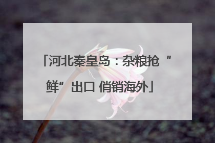 河北秦皇岛：杂粮抢“鲜”出口 俏销海外
