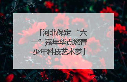 河北保定 “六一”嘉年华点燃青少年科技艺术梦