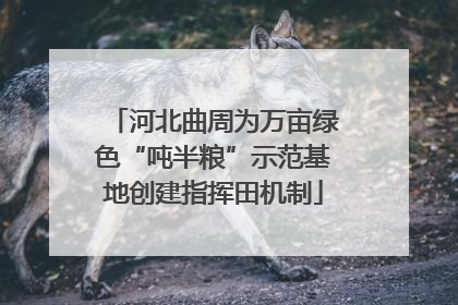河北曲周为万亩绿色“吨半粮”示范基地创建指挥田机制