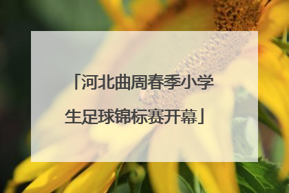河北曲周春季小学生足球锦标赛开幕