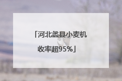 河北蠡县小麦机收率超95%