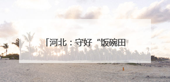河北：守好“饭碗田” 用好“发展地”