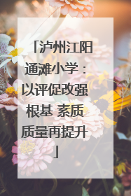 泸州江阳通滩小学：以评促改强根基 素质质量再提升