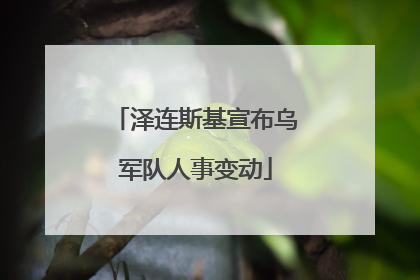 泽连斯基宣布乌军队人事变动