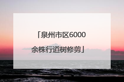 泉州市区6000余株行道树修剪