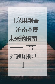 泉果飘香｜济南本周末采摘指南——“杏”好遇见你！