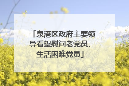泉港区政府主要领导看望慰问老党员、生活困难党员