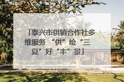 泰兴市供销合作社多维服务 “供”绘“三夏”好“丰”景