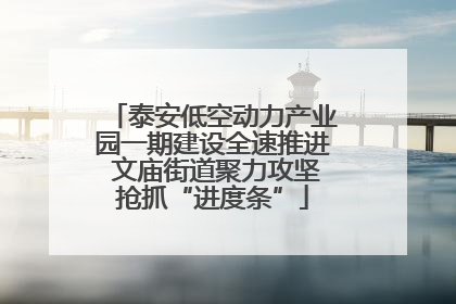 泰安低空动力产业园一期建设全速推进 文庙街道聚力攻坚抢抓“进度条”