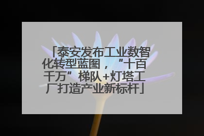 泰安发布工业数智化转型蓝图，“十百千万”梯队+灯塔工厂打造产业新标杆
