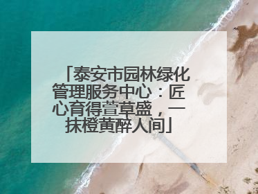 泰安市园林绿化管理服务中心：匠心育得萱草盛，一抹橙黄醉人间
