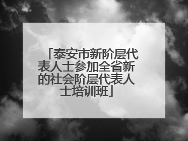 泰安市新阶层代表人士参加全省新的社会阶层代表人士培训班