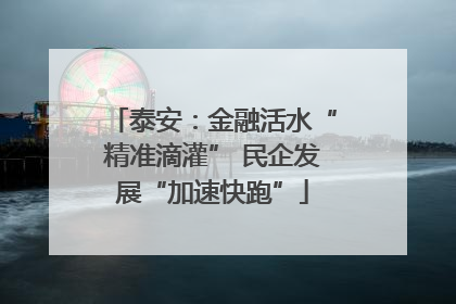 泰安：金融活水“精准滴灌” 民企发展“加速快跑”
