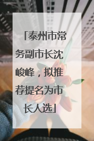 泰州市常务副市长沈峻峰，拟推荐提名为市长人选