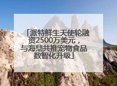 派特鲜生天使轮融资2500万美元，与海鼎共推宠物食品数智化升级