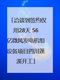 洽谈到签约仅用28天 56亿微风发电机组设备项目四川蓬溪开工