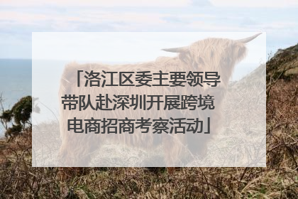 洛江区委主要领导带队赴深圳开展跨境电商招商考察活动