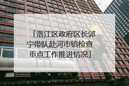 洛江区政府区长郭宁带队赴河市镇检查重点工作推进情况